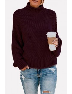 Turtle Neck Long Sleeve Casual Pullover